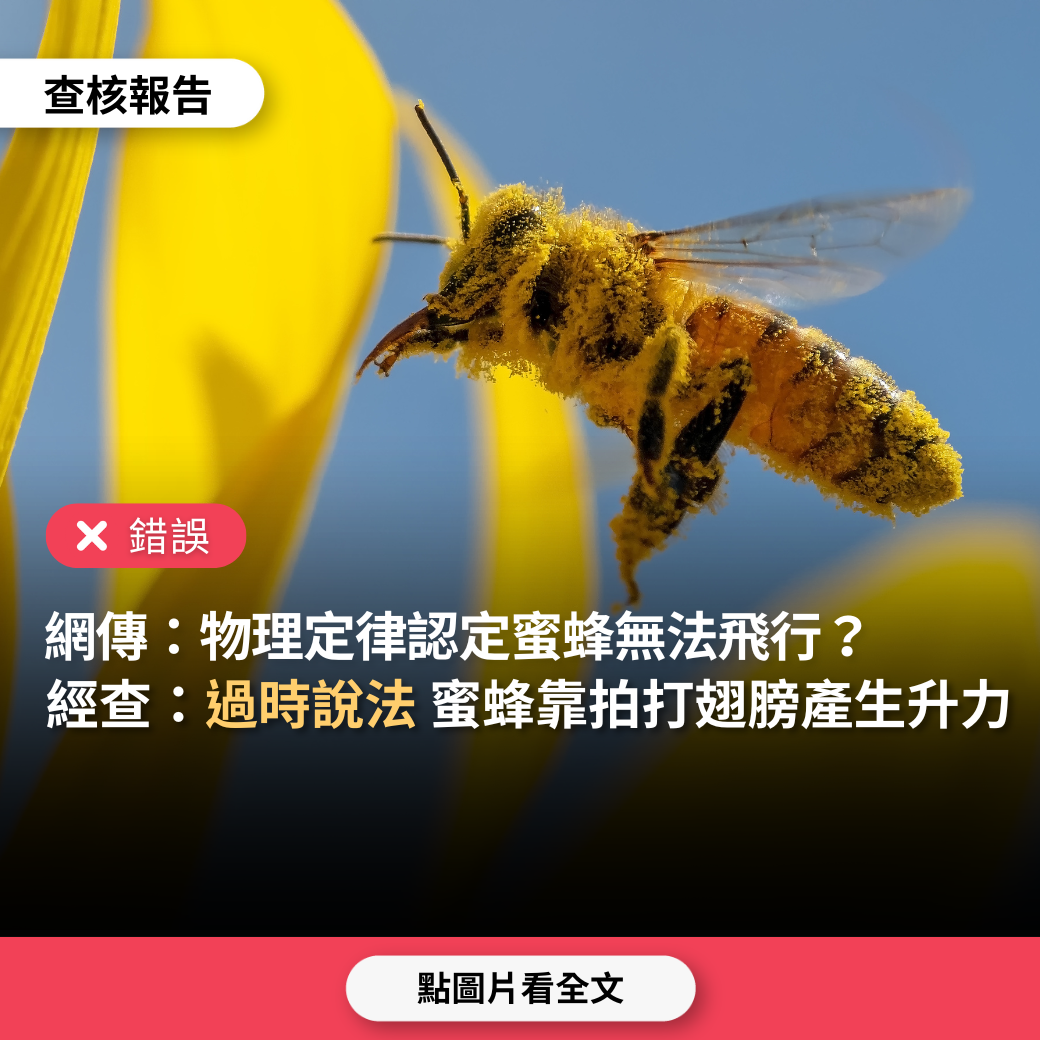 【錯誤】網傳「蜜蜂翅膀構造違反物理定律，根本沒辦法飛行」？